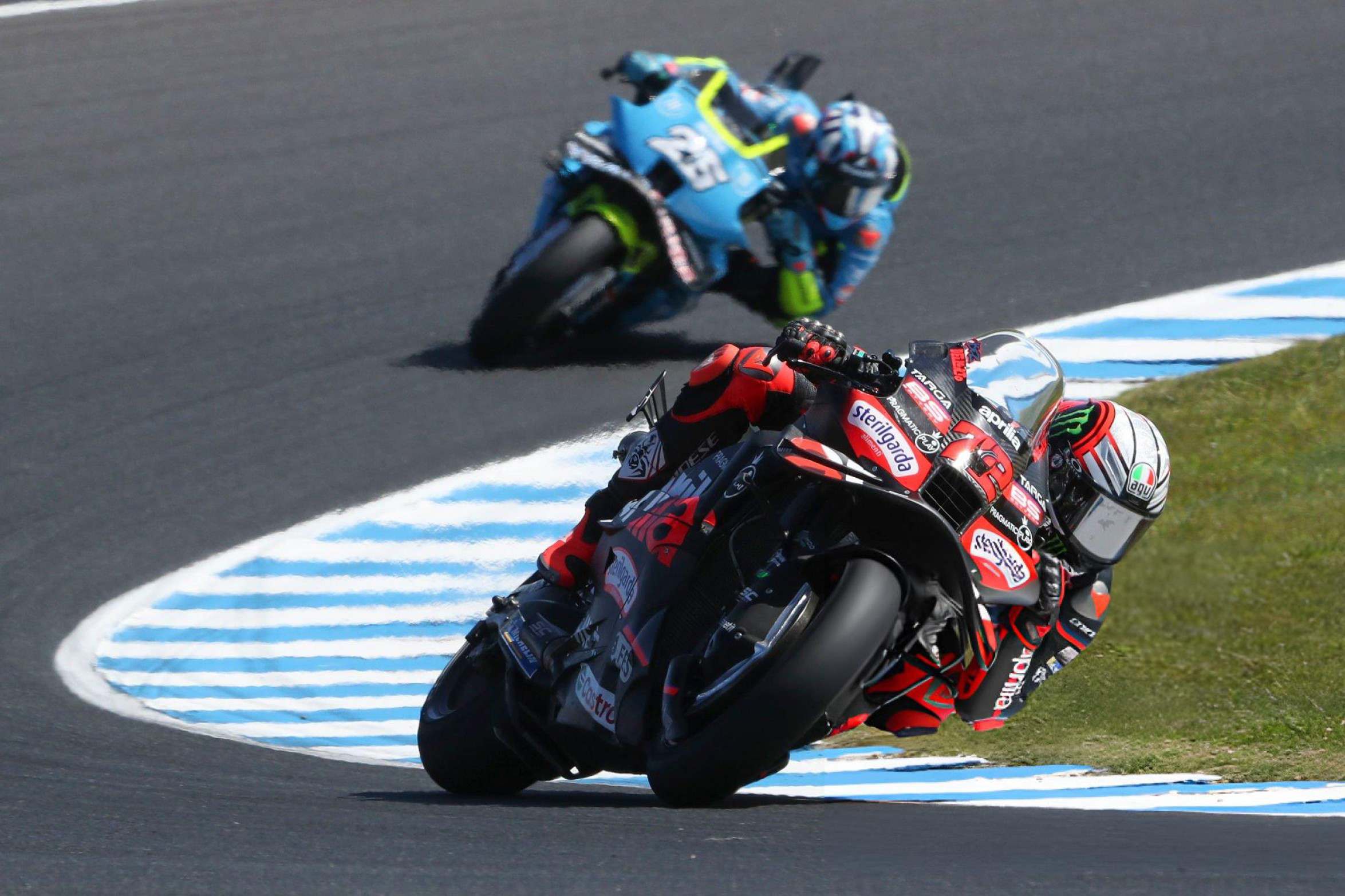 Bezzecchi menabrak burung camar di Phillip Island